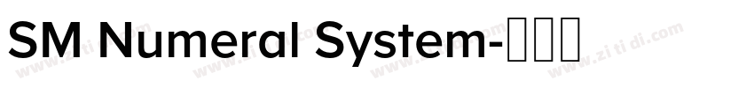 SM Numeral System字体转换 SM Numeral System字体转换